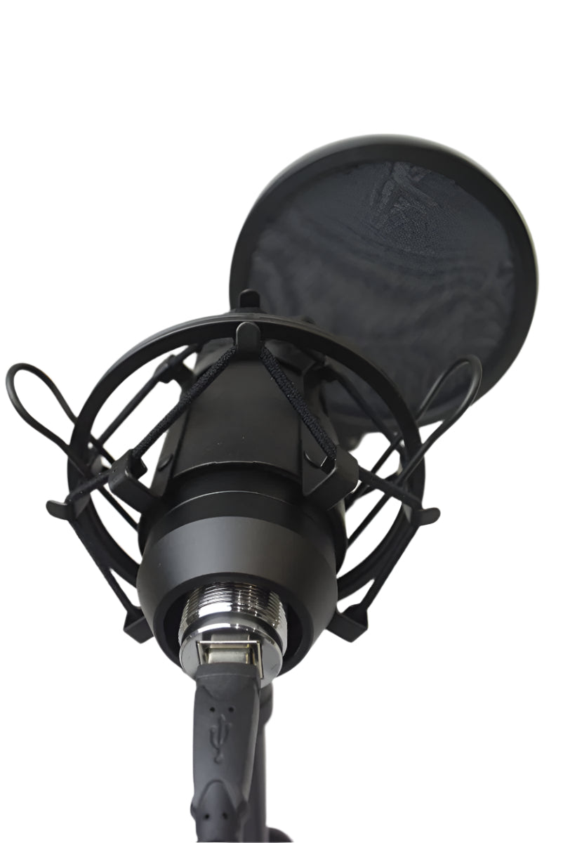 SOUNDKING CMS1 USB condenser microphone with shock mount pop filter and table top stand