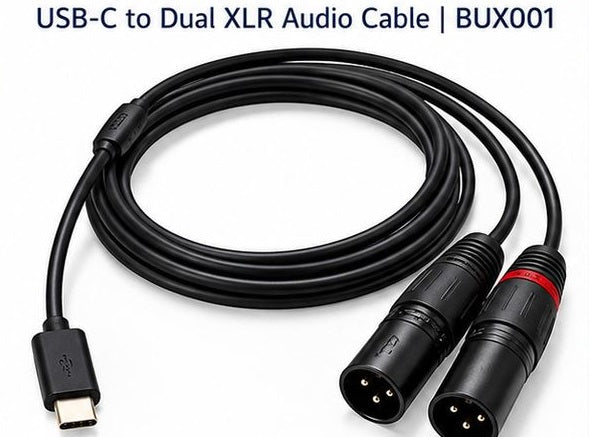 Soundking BUX001 USB-C to 2 × Male XLR Audio Cable – 2m